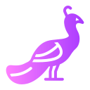 pavo real icon