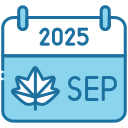 2025 icon