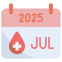 2025 icon