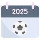 2025 icon