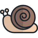 caracol 