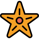 estrella de mar icon