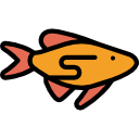 pescado icon