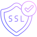 ssl icon