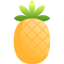 piña icon