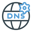 dns icon