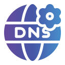 dns icon