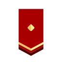 bandera icon