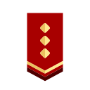 bandera icon