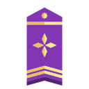 bandera icon