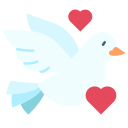 pomba 
