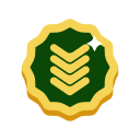 insignia icon