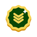 insignia icon