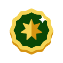 insignia icon