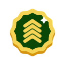 insignia icon