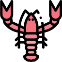 Langosta icon