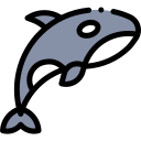 Orca icon