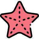 Estrella de mar icon