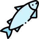 salmón icon