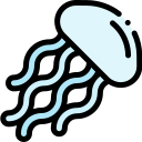 Medusa icon