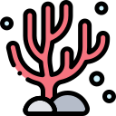 Coral icon