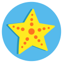 estrella de mar 