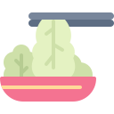 kimchi icon