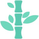 Bamboo 