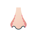 Aumento nasal icon