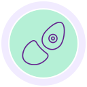 prótesis icon