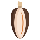 cacao icon