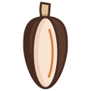 cacao icon