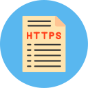 https icon