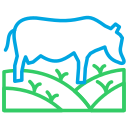 vaca icon