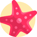 Estrella de mar 