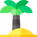 palmera icon