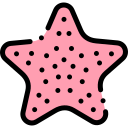 Starfish icon