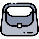 Bolso icon