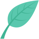 리프 