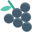 포도 icon