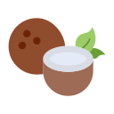 coco icon