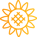 girasol icon