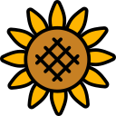 girasol icon