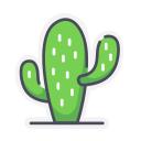 planta de cactus 