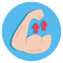 musculatura icon