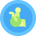 handicap icon