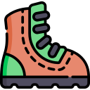 Bota icon