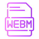 webm icon