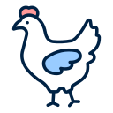 gallina icon