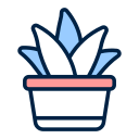 aloe vera icon